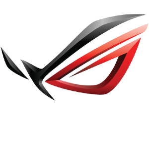 republic of gamers